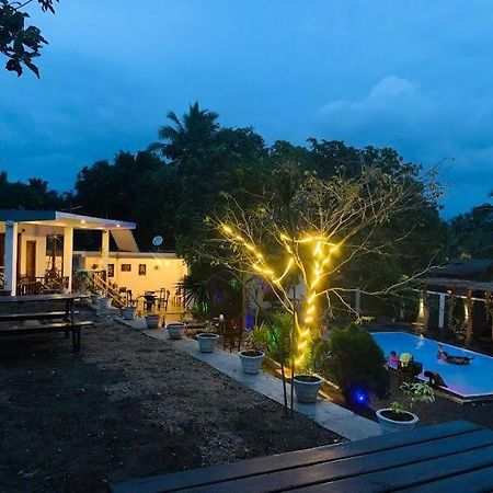 Lily Resort Udawalawe Kültér fotó